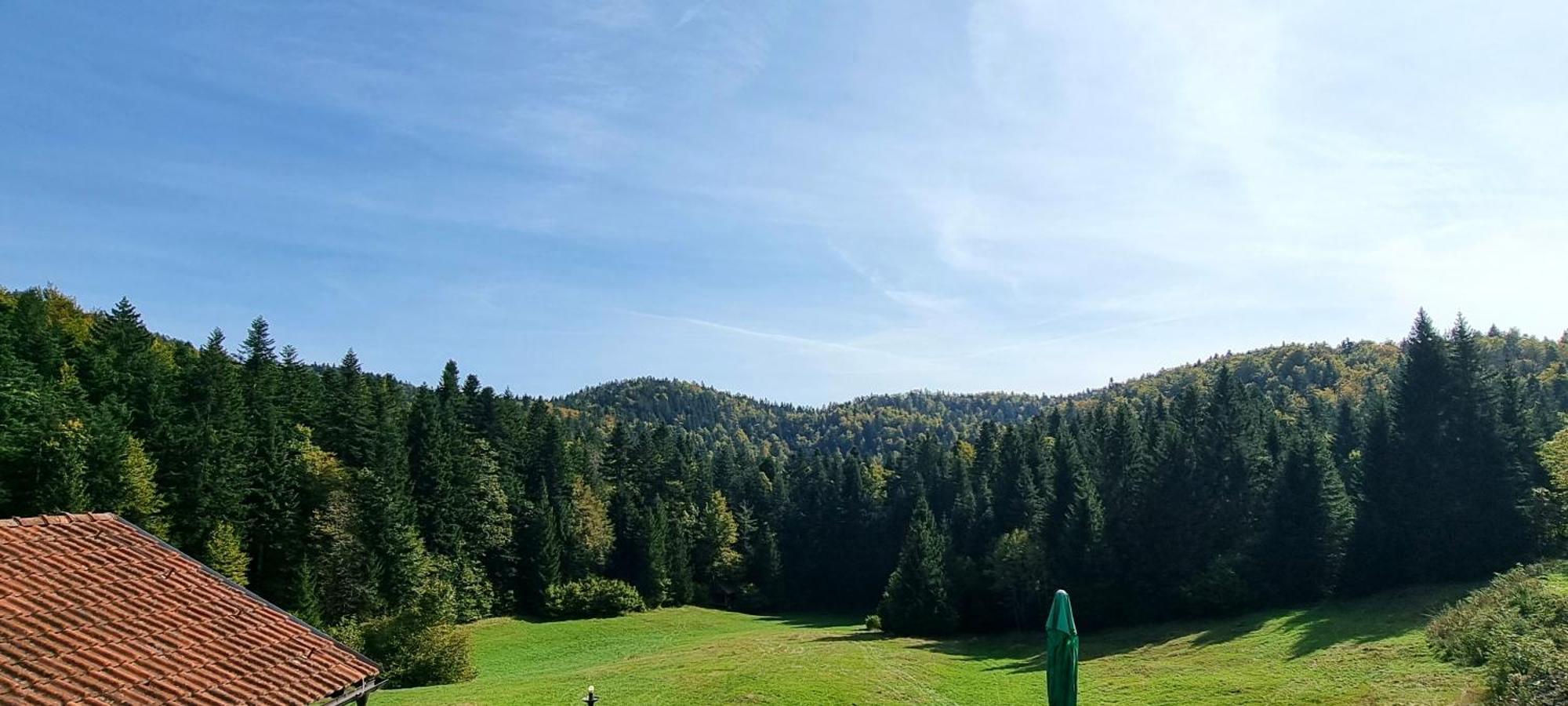 Planinski Dom Na Travni Gori Sodrazica Εξωτερικό φωτογραφία